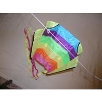 Picture of K121  Beach Flyer 25x18