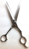 Scissors Professional Hair Cutting RS2 main view
