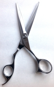 Scissors Professional Hair Cutting RS5 main view