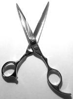 Scissors Professional Hair Cutting RS10 main view