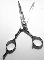 Scissors Professional Hair Cutting RS6 main view