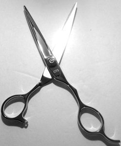 Scissors Professional Hair Cutting RS7 main view