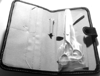 Scissors Professional Hair Cutting RS7 open case full kit shown